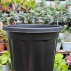 Basic Pots - Black