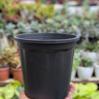 Basic Pots - Black