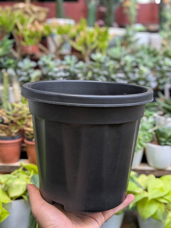 Basic Pots - Black