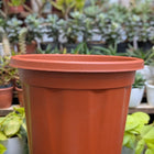 Basic Pots - Brown