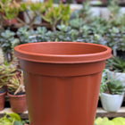 Basic Pots - Brown