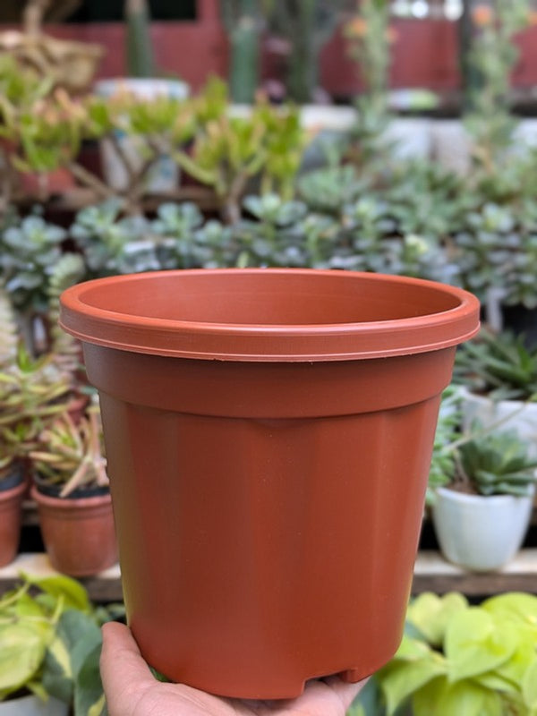 Basic Pots - Brown