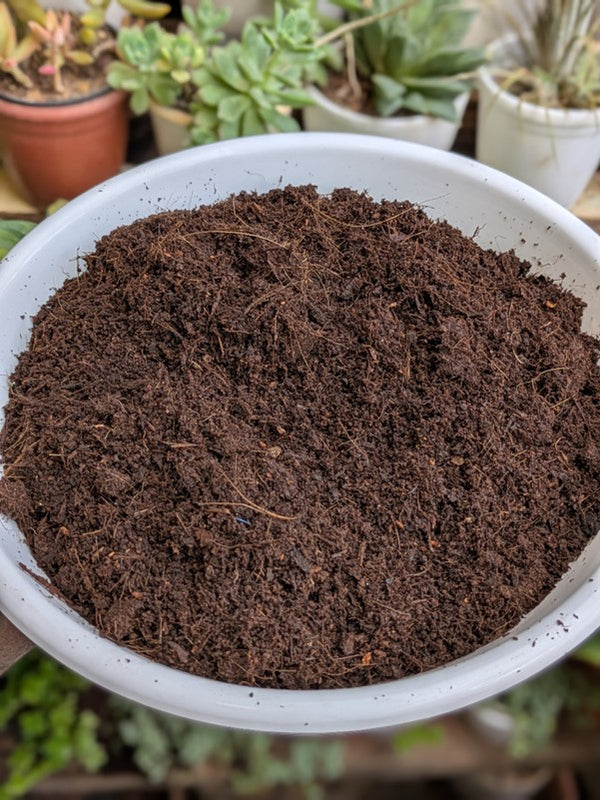 Cocopeat