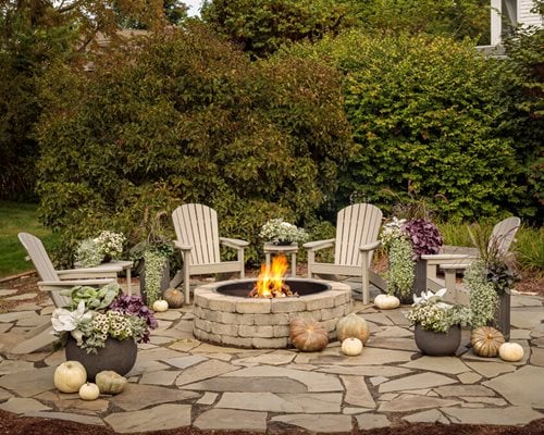 Garden Transformation