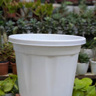 Basic Pots - White