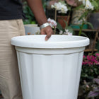 Basic Pots - White