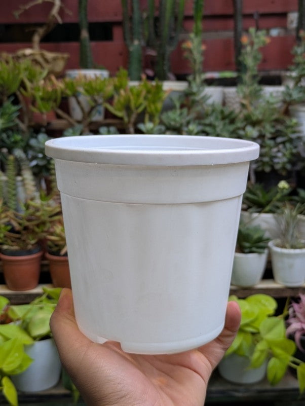 Basic Pots - White