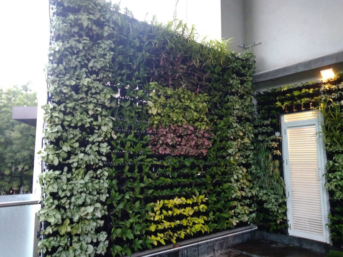 Green Walls