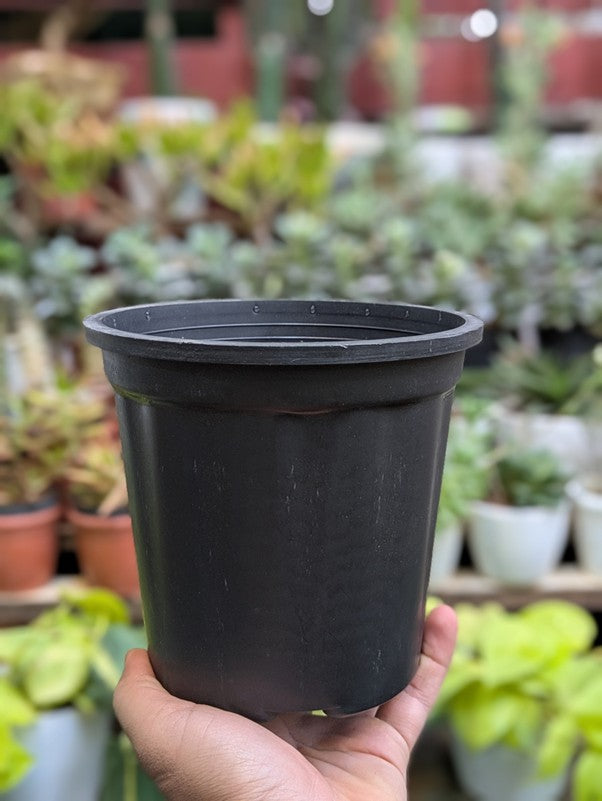 Basic Pots - Black