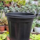 Basic Pots - Black