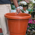 Basic Pots - Brown