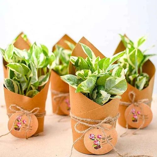 Corporate Gifting