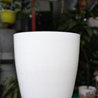 Premium Fibre Pots