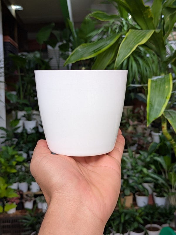 Premium Fibre Pots