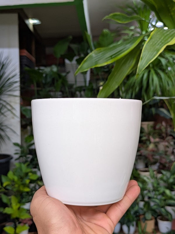 Premium Fibre Pots