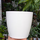 Premium Fibre Pots