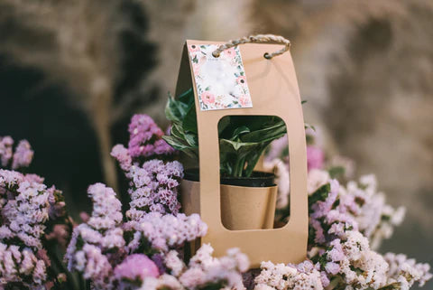 Corporate Gifting