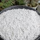 Perlite