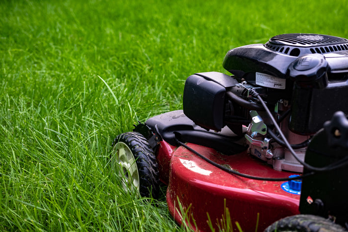Garden Maintenance