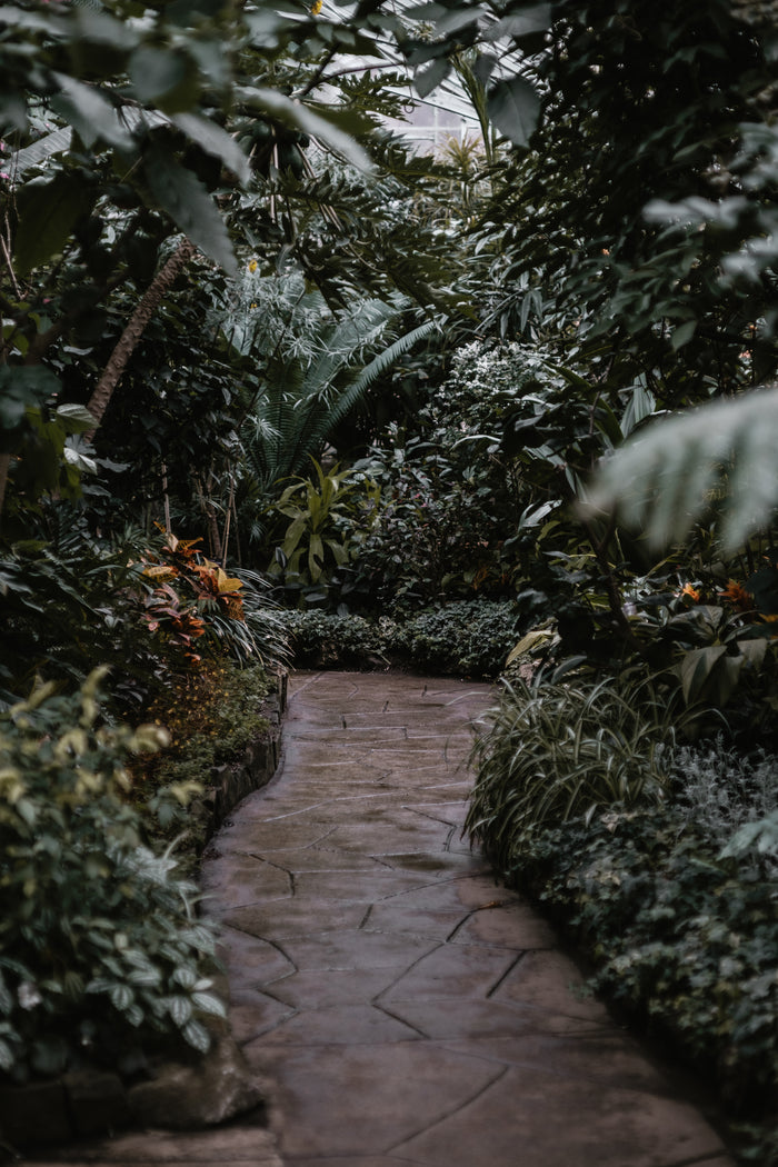 Garden Landscaping