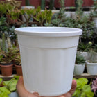 Basic Pots - White