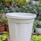 Basic Pots - White