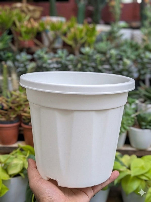 Basic Pots - White